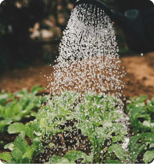 agric