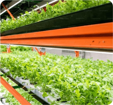 agric