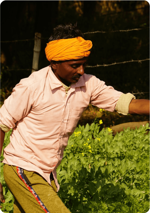 farmer