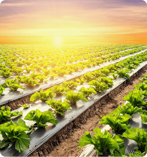 agric