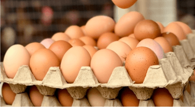 Jumbo Eggs