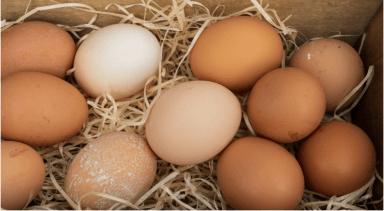 Large Eggs