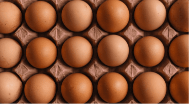 Medium Eggs